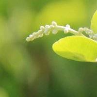 Taller gratuito para personas diagnosticadas con cáncer