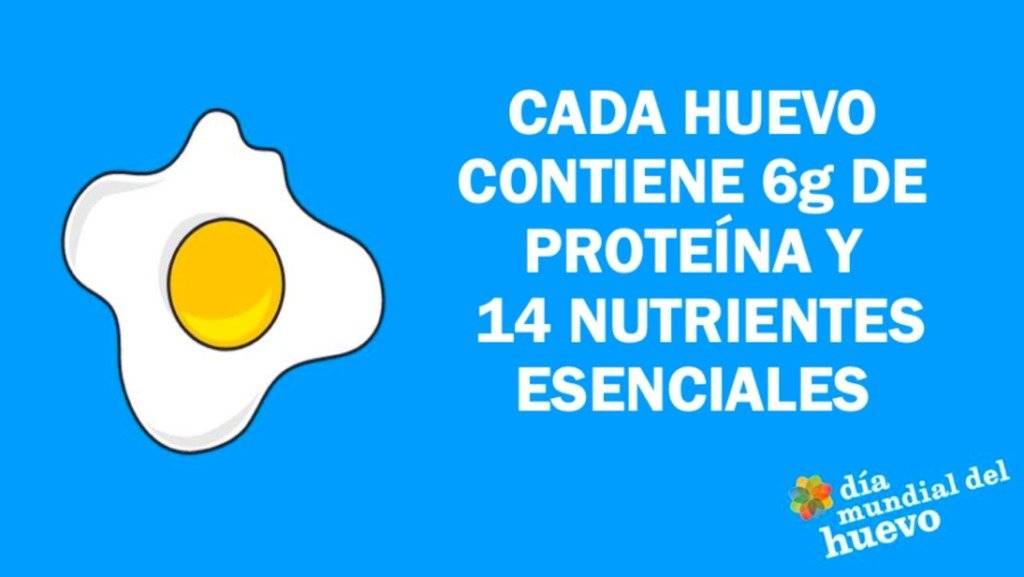 iegdiamundialdel-2d357d7d92523d2eae571b9f1af875d5.jpg