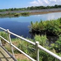 Aguas residuales impactan el río La Plata y áreas de Dorado por construcción de la AAA
