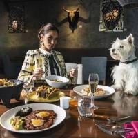 Experiencias gastronómicas instagrameables en el W Mexico City