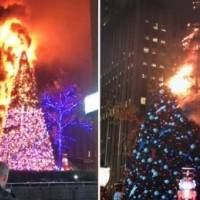 Arrestan a un hombre tras incendiar árbol de Navidad en Nueva York