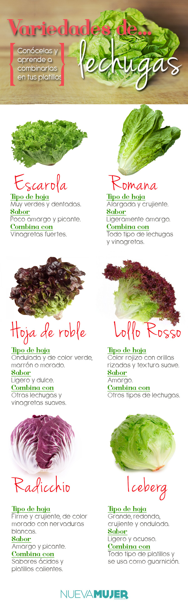 Lechuga tipos de hojas